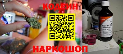 тгк Кингисепп