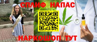 тгк Кингисепп