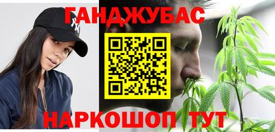 тгк Кингисепп