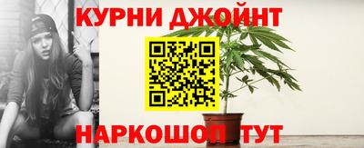тгк Кингисепп