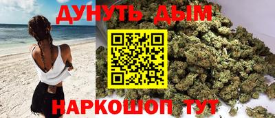 тгк Кингисепп