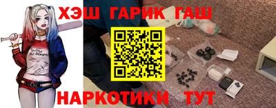 тгк Кингисепп
