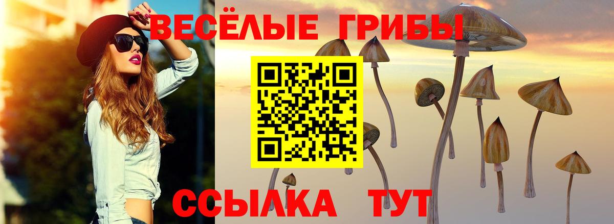 даркнет сайт  Вход с VPN  Ставрополь  Галлюциногенные грибы прущие грибы 